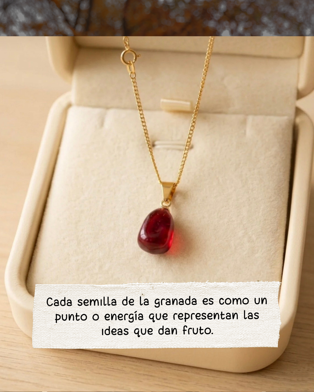 Semillas de propósito — imagen 6